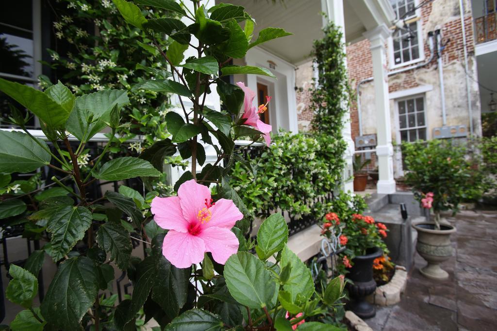 Fleur De Lis Mansion Bed & Breakfast นิวออร์ลีนส์ ภายนอก รูปภาพ